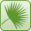 Palmate, or fan shaped palm leaf