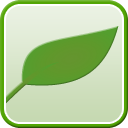 Simple leaf with no separate leaflets